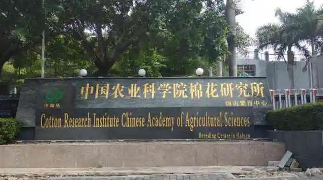 中国农业科学院棉花研究所2022年高层次人才招聘公告